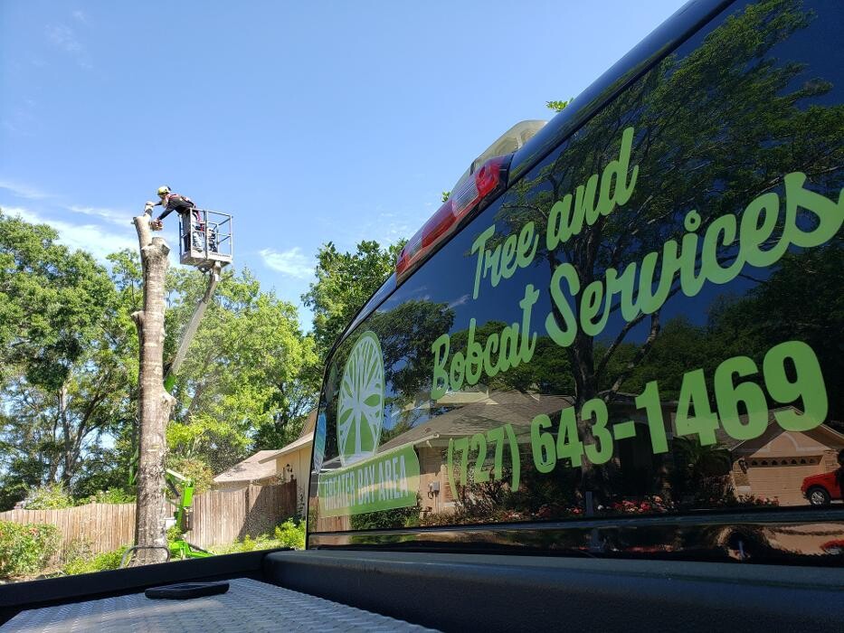 Images Greater Bay Area Tree & Arborist Services