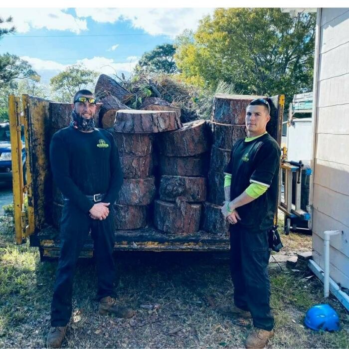 Images Greater Bay Area Tree & Arborist Services