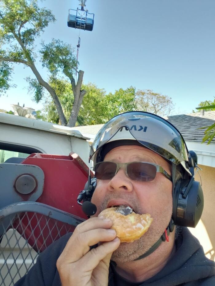 Images Greater Bay Area Tree & Arborist Services