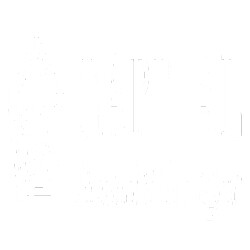 Capital Financial Strategies Inc Logo
