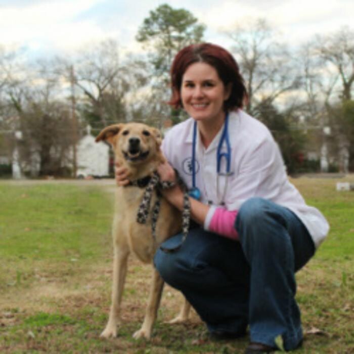 Images Greenbrier Veterinary Services