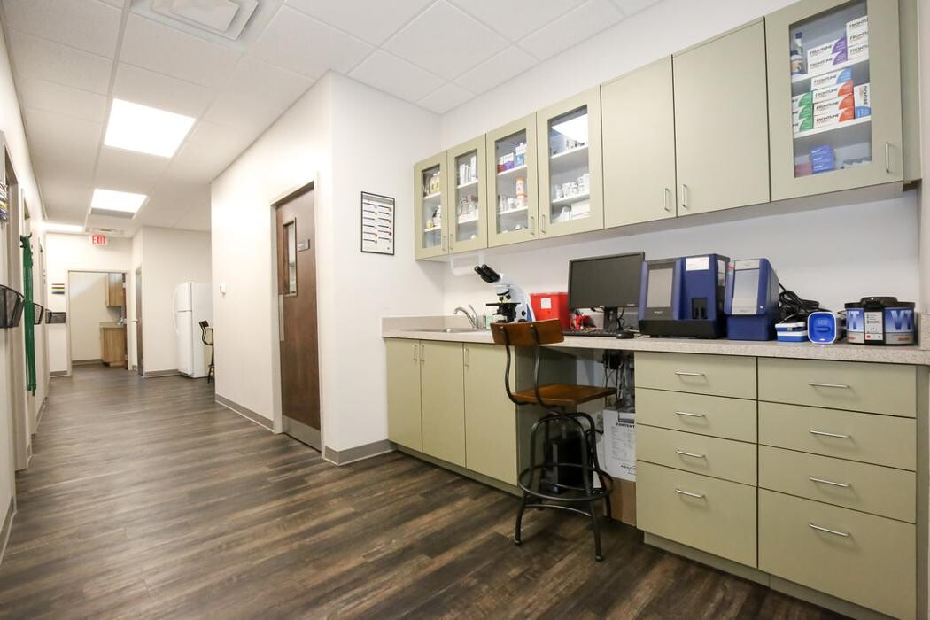 Images Greenbrier Veterinary Services