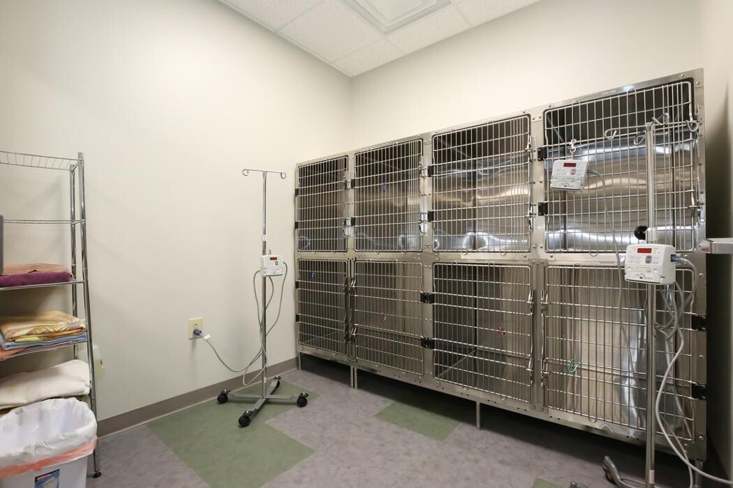 Images Greenbrier Veterinary Services