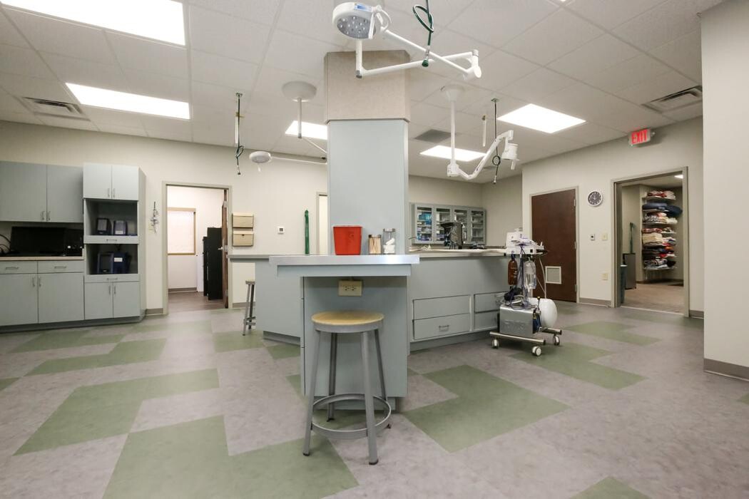 Images Greenbrier Veterinary Services