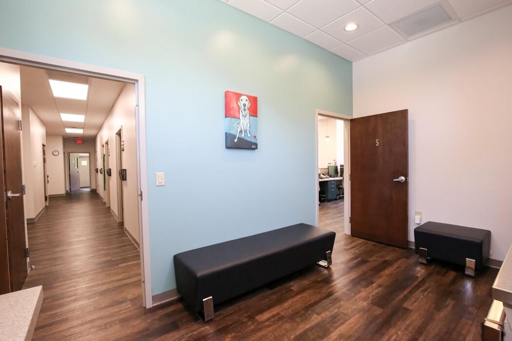 Images Greenbrier Veterinary Services