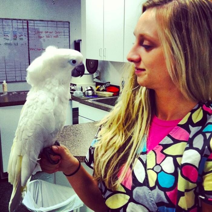 Images Animal and Avian Medical Center