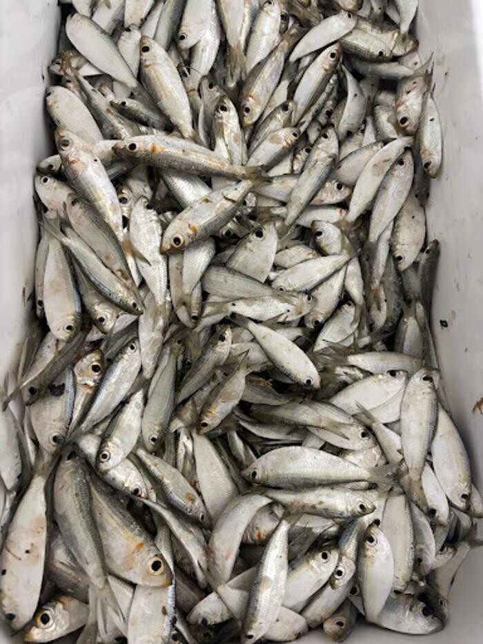 Images South Marine Supply