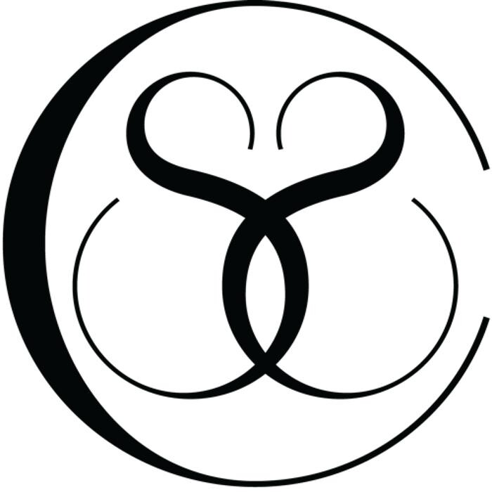 Century Salon Suites Logo