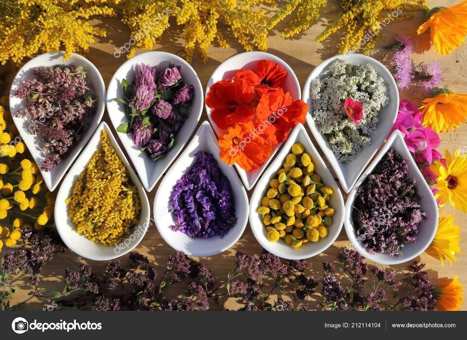 Images Herb4Us & Acupuncture