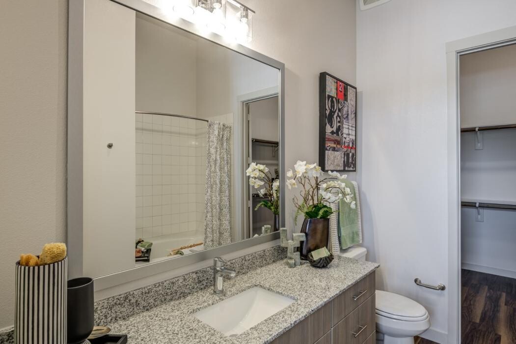 Images Prose Prominence