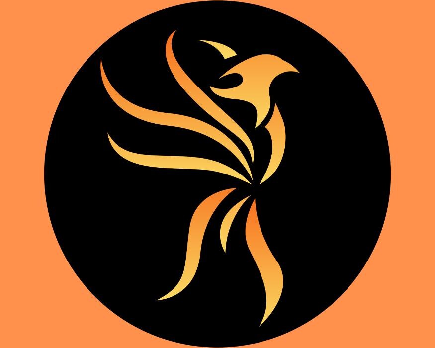 Fire Financial Partners PLLC Logo