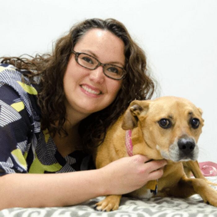 Images 24/7 PetVets
