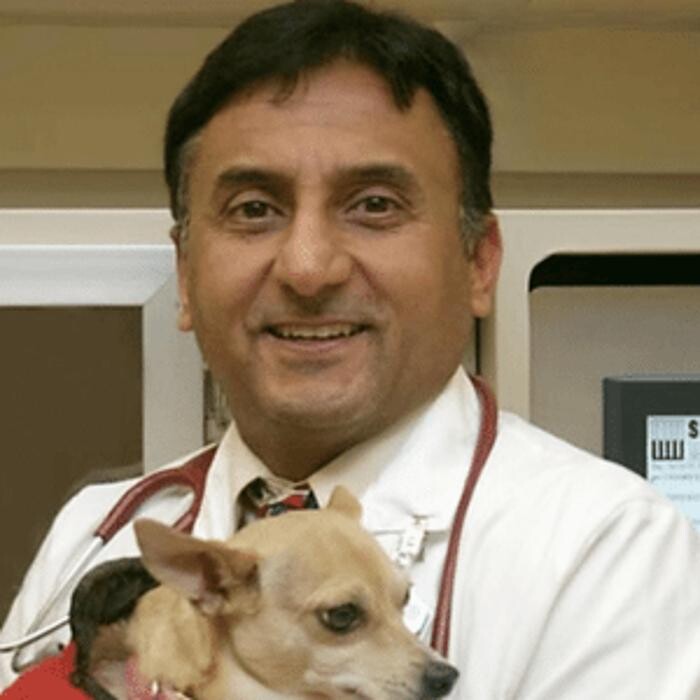 Images 24/7 PetVets