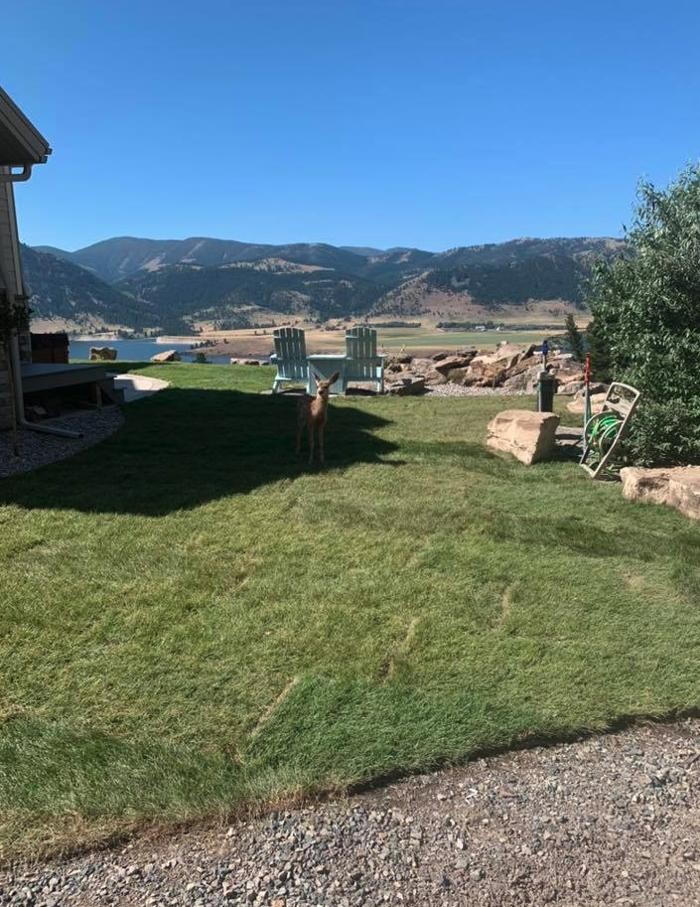 Images Greenup Lawn, Landscape, & Sprinklers