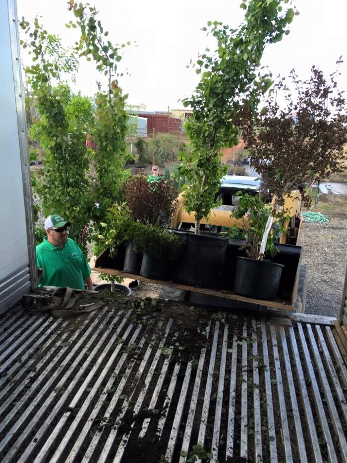 Images Greenup Lawn, Landscape, & Sprinklers