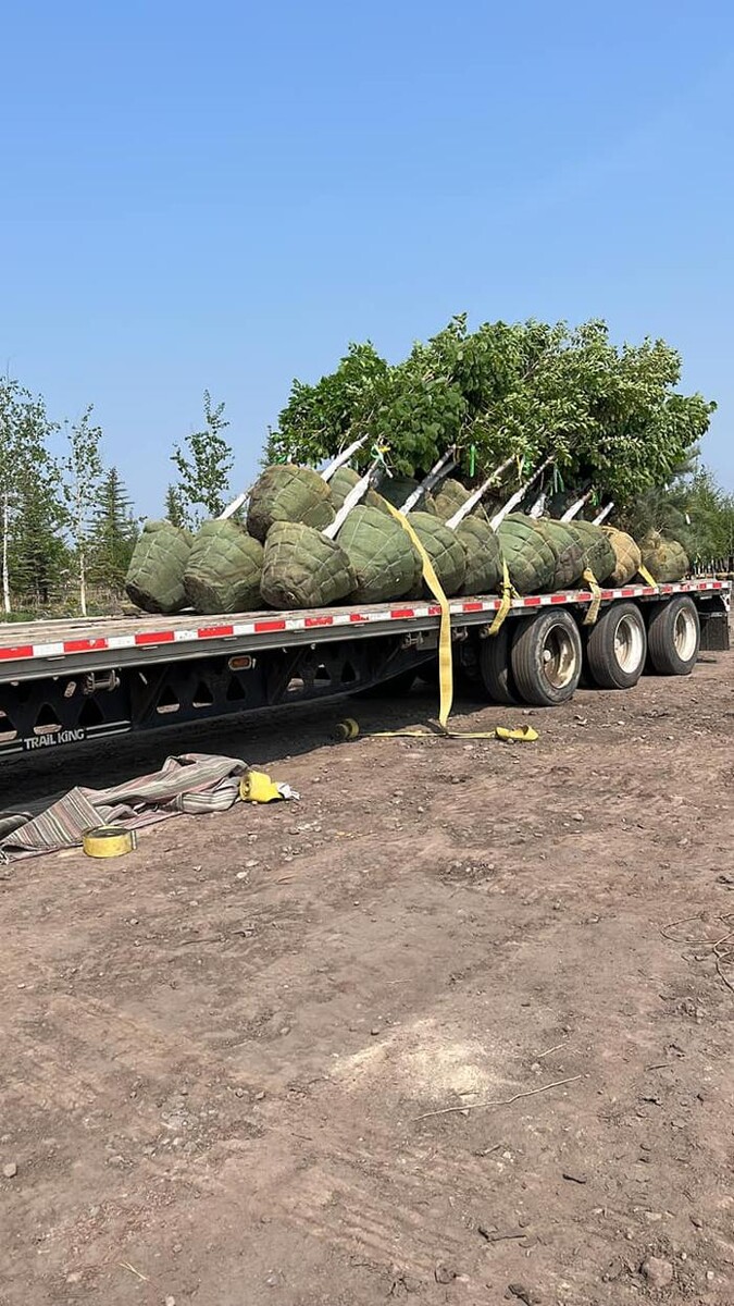 Images Greenup Lawn, Landscape, & Sprinklers