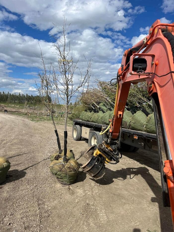 Images Greenup Lawn, Landscape, & Sprinklers