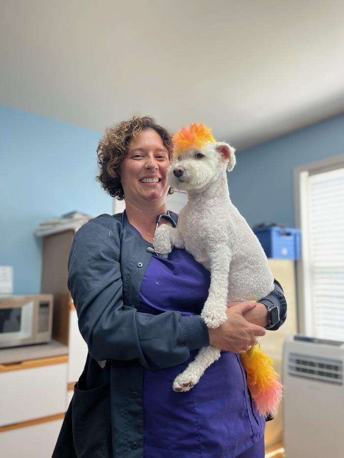 Images Staunton River Veterinary Clinic