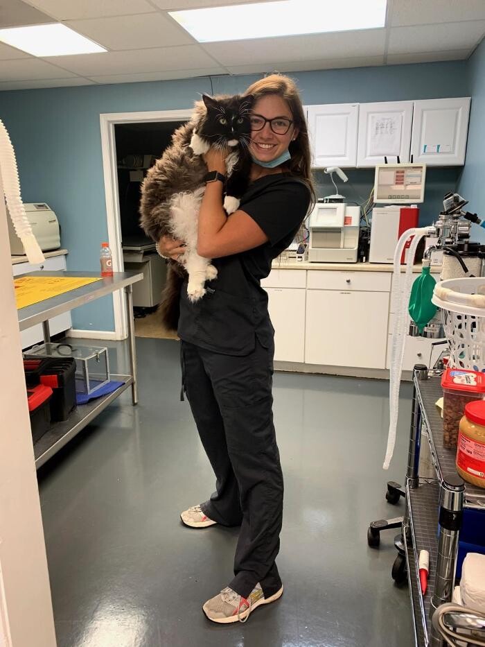 Images Staunton River Veterinary Clinic