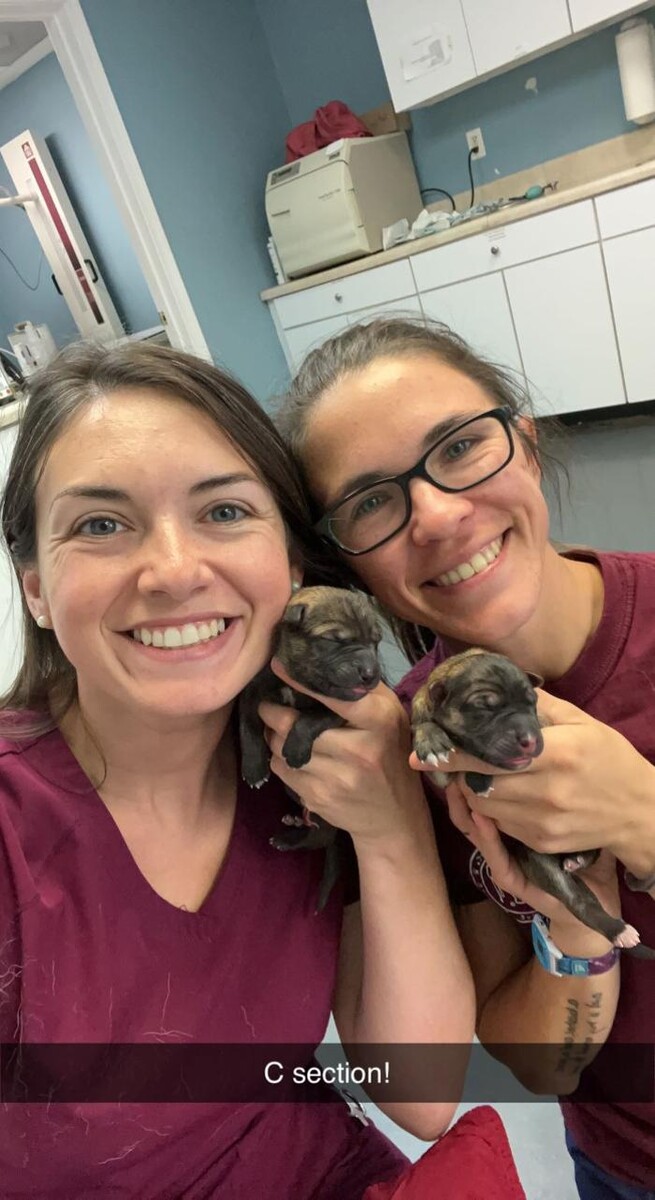 Images Staunton River Veterinary Clinic