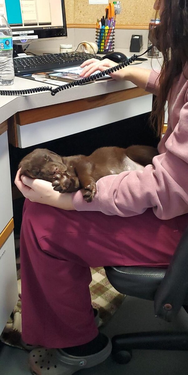 Images Staunton River Veterinary Clinic