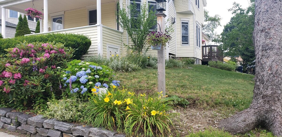 Images Joyce Torelli - Broker, Real Estate Consultant
