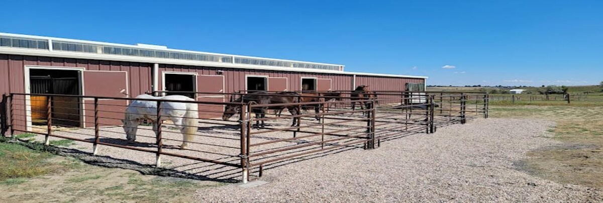 Images Front Range Equine Performance & Rehabilitation