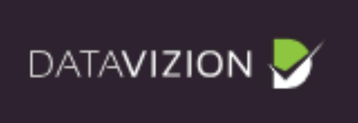 DataVizion Logo