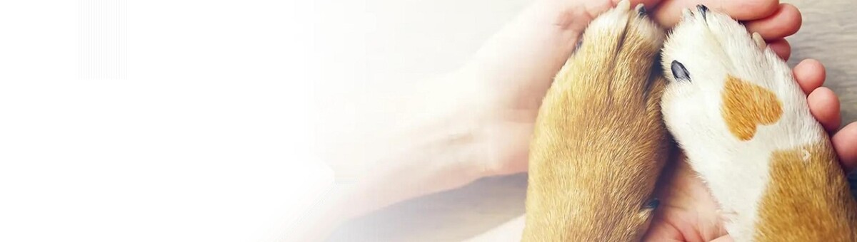 Images Pine Plains Veterinary Hospital