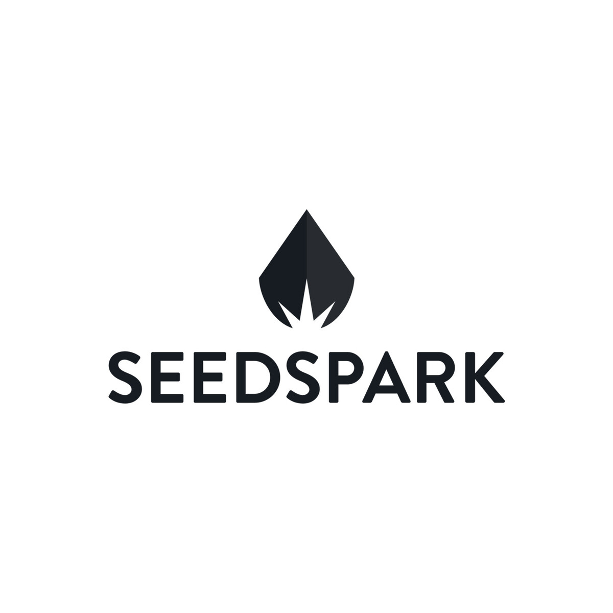 SeedSpark Logo