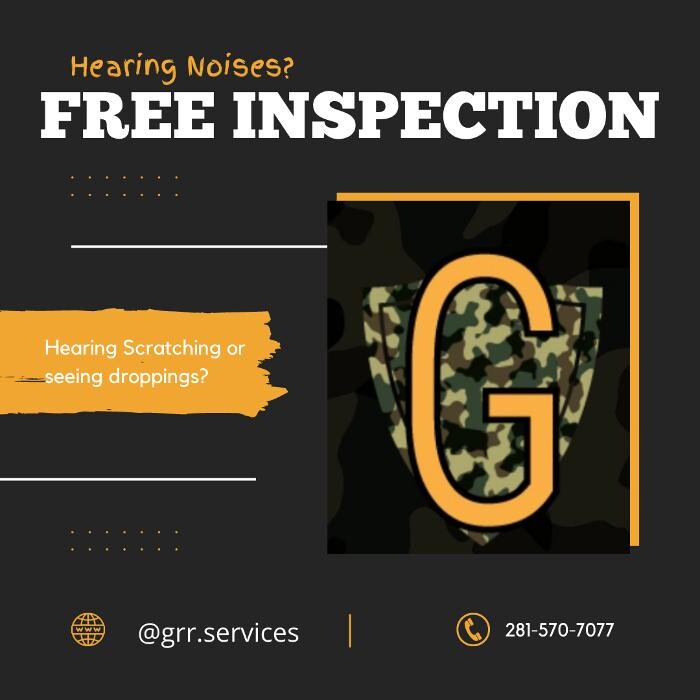 Images Guaranteed Rodent Removal Services