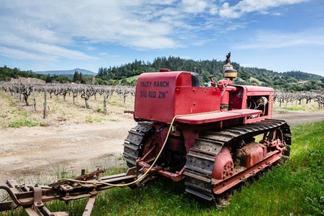 Images Talty Vineyards & Winery