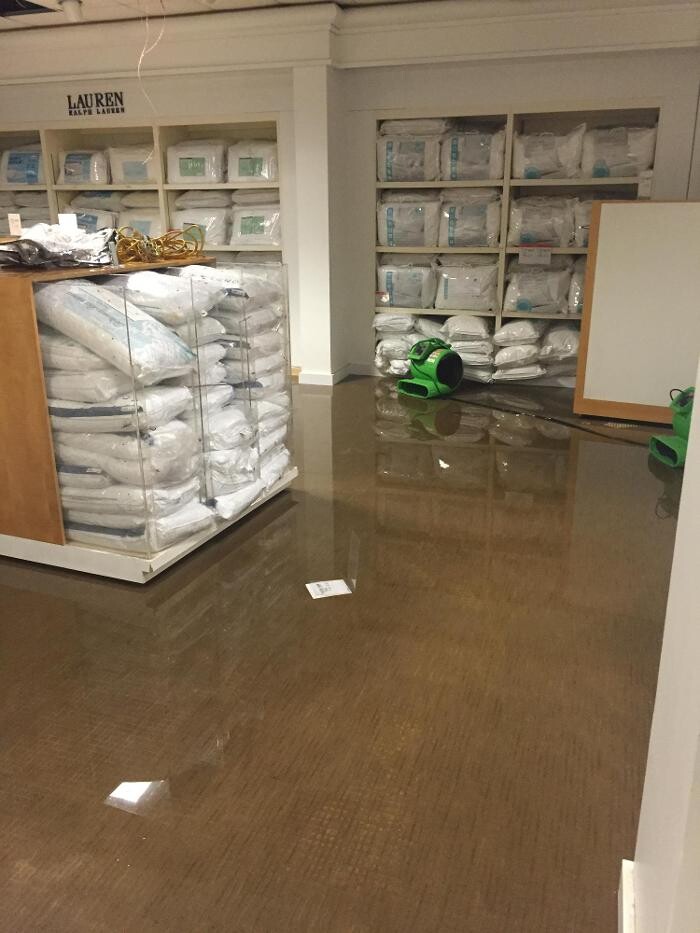 Images Drico Restoration