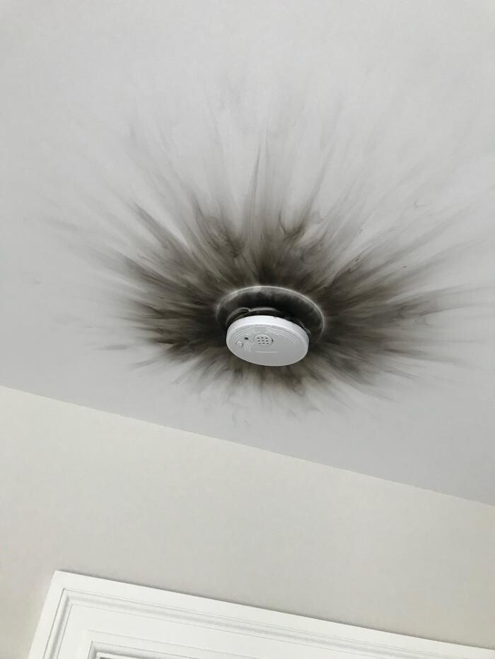 Images Drico Restoration