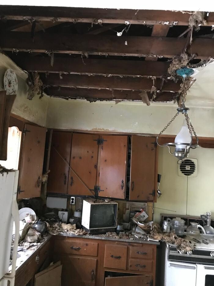 Images Drico Restoration