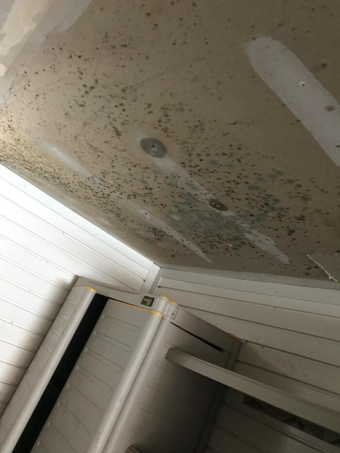 Images Drico Restoration