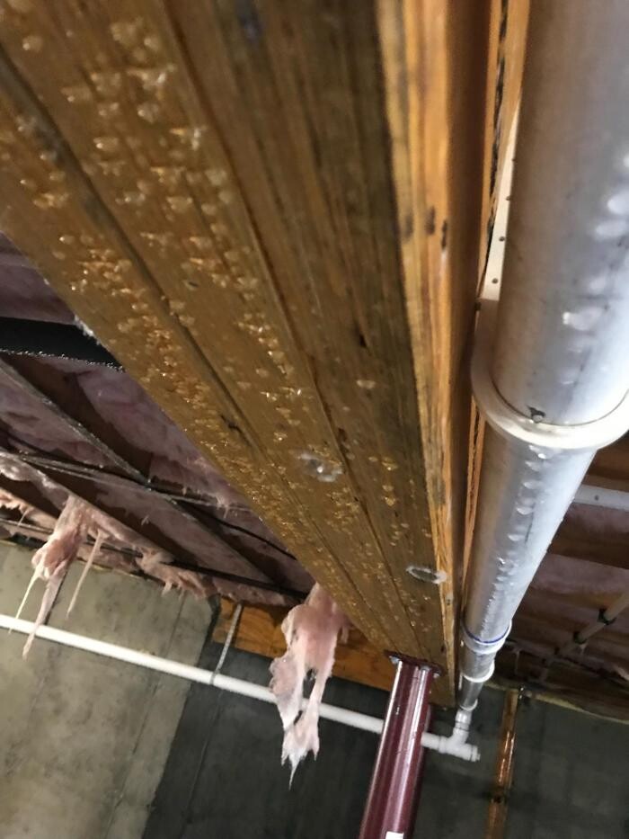 Images Drico Restoration