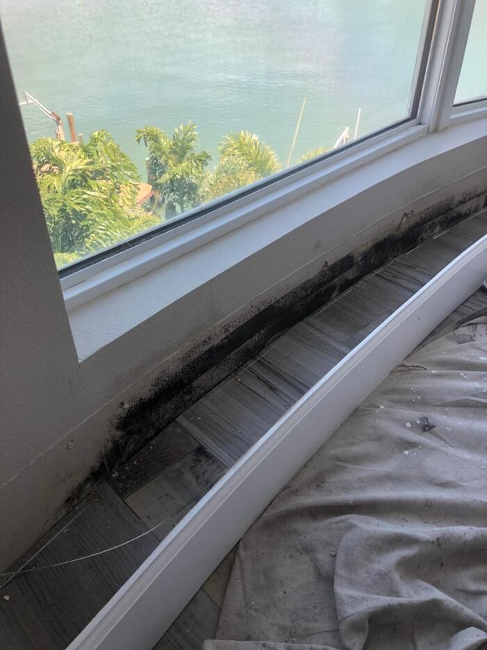 Images Drico Restoration