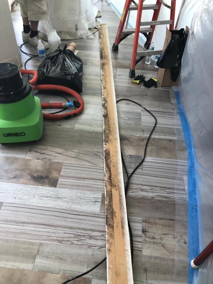 Images Drico Restoration