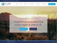 Website Screenshot Pure Management and Bookkeeping