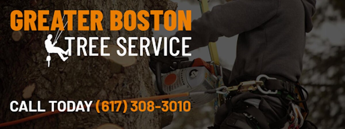 Images Greater Boston Tree Service