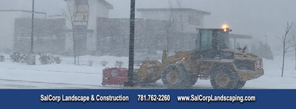 Images SalCorp Landscaping & Construction