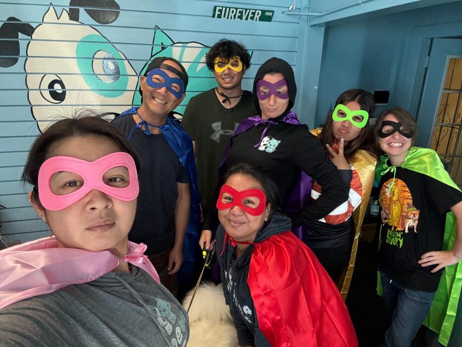 Images Furever Friends Play and Stay