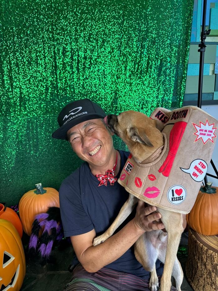 Images Furever Friends Play and Stay