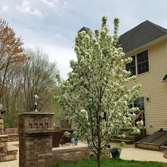 Images Hardy's Mason Contractor Chimney Service