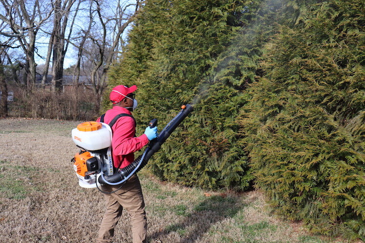 Images Brentwood Pest Control LLC