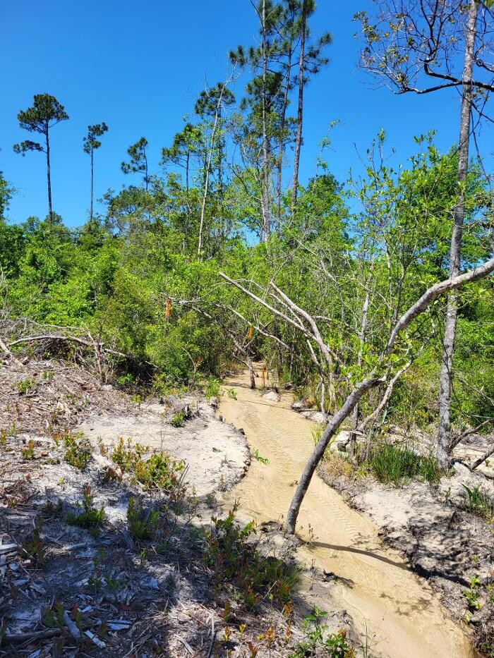 Images Florida Showcase Realty, LLC