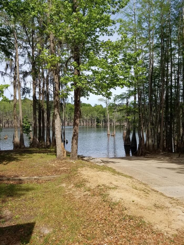 Images Florida Showcase Realty, LLC