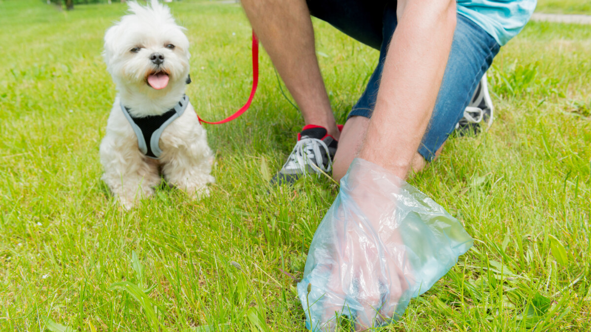 Images Poo Patrol - Dog & Pet Waste Removal Services