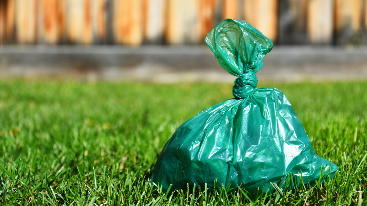 Images Poo Patrol - Dog & Pet Waste Removal Services